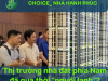 Thị trường nhà đất phía Nam đã qua thời “nguội lạnh”?